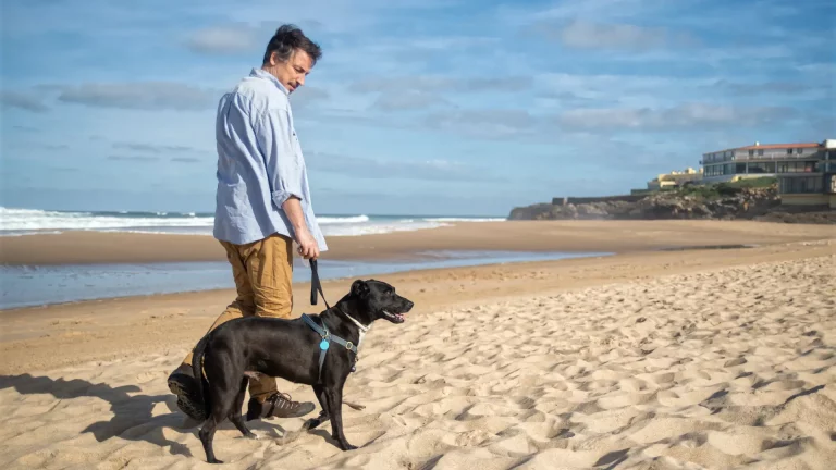 New approaches to health and wellbeing new-approaches-to-health-and-wellbeing02